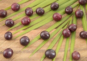 Frozen 3PL Miami: photo of fresh acai berries against green fronds of plant