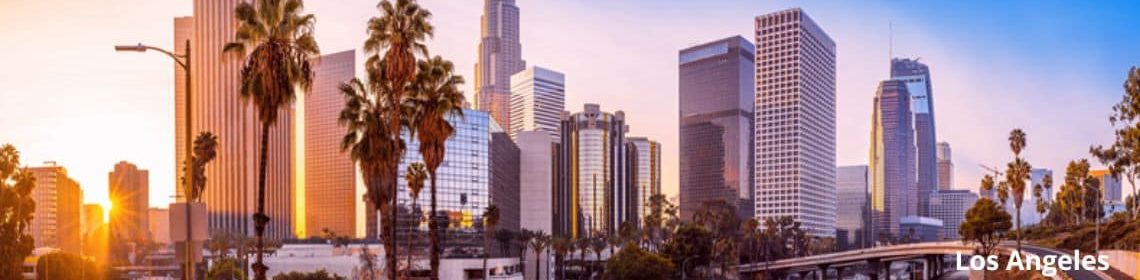 3rd party warehouse Los Angeles services by Palisades Logistics - Los Angeles skyline