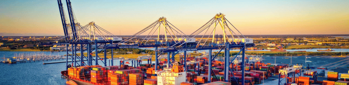 Port of Charleston container terminal with cargo cranes and stacked containers supporting Palisades Logistics 3rd party warehouse and 3PL operations.